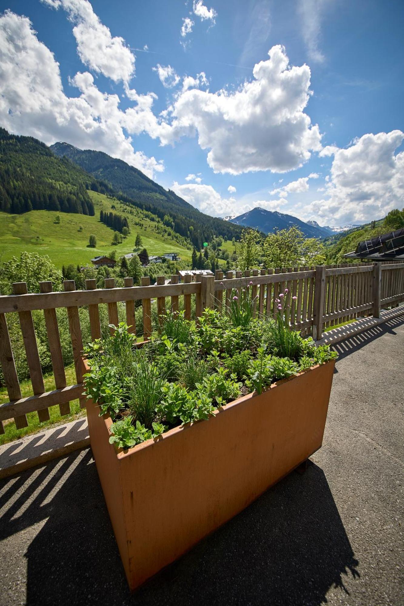 Апартаменты Drei Hittn Saalbach Экстерьер фото